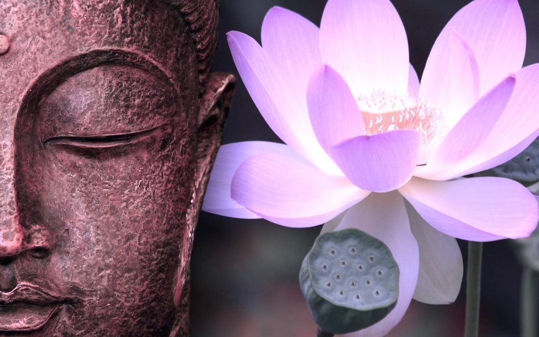 PROGRAMMA DI TUTTI I CORSI DAL 19 MARZO AL 18 LUGLIO 2026